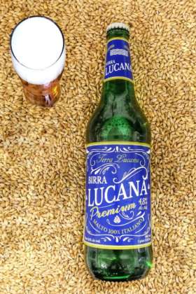 Birra Lucana Premium 66 cl sul letto di orzo lucano