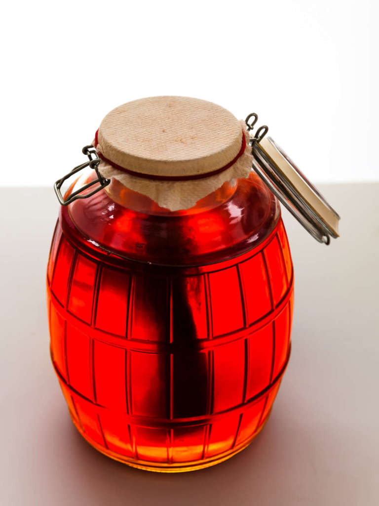 Scoby galleggia verticalmente in una jar con kombucha fermented tea.