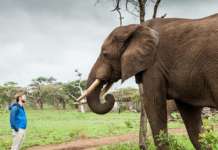 Elephant Gin Foundation EG_Robin Gerlach_South Africa