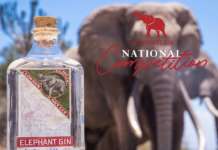 Elephant Gin Competition 2023