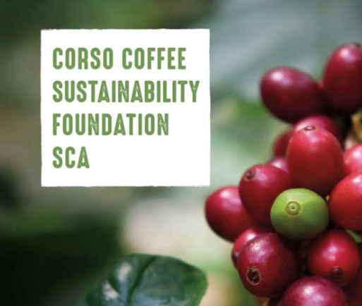 Corso Coffee Sustainability Foundation