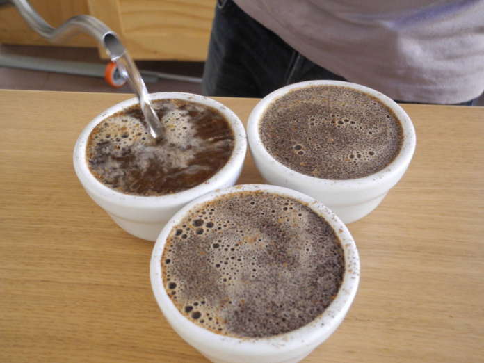 Tazze cupping caffè