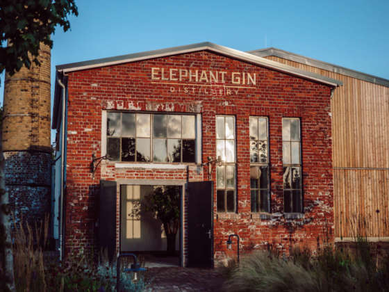 distilleria elephant gin 1