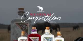 Elephant Gin National Competition 2024